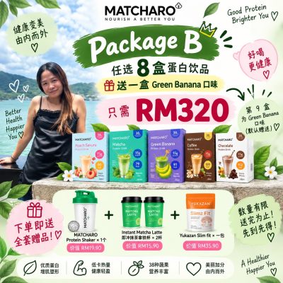 Package B